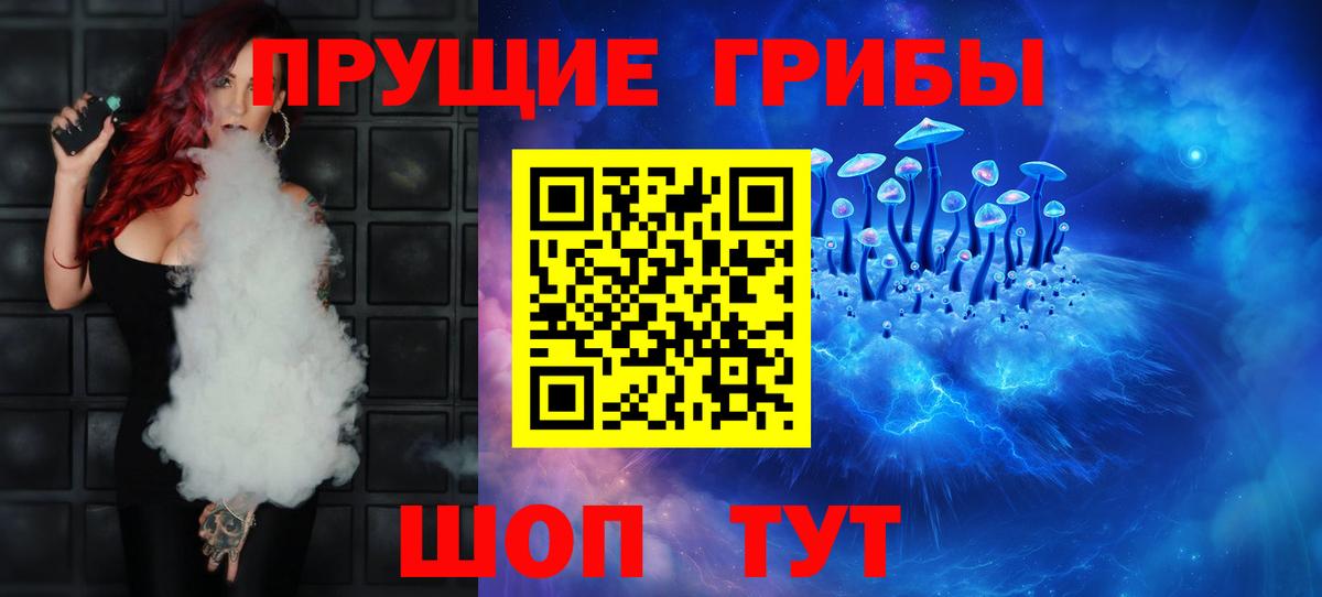 Северск  Псилоцибиновые грибы MAGIC MUSHROOMS  Вход с VPN  Псилоцибиновые грибы мицелий 